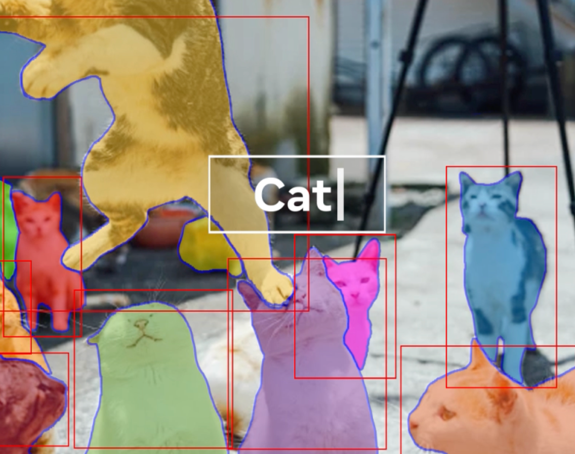 A group of cats being identified by the model when prompted to search for ‘Cat’